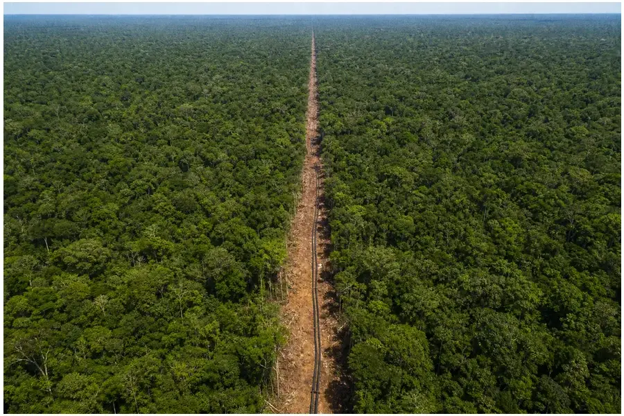 Vista aérea realista da floresta amazônica com destaque para trecho de cabo de fibra óptica em área remota