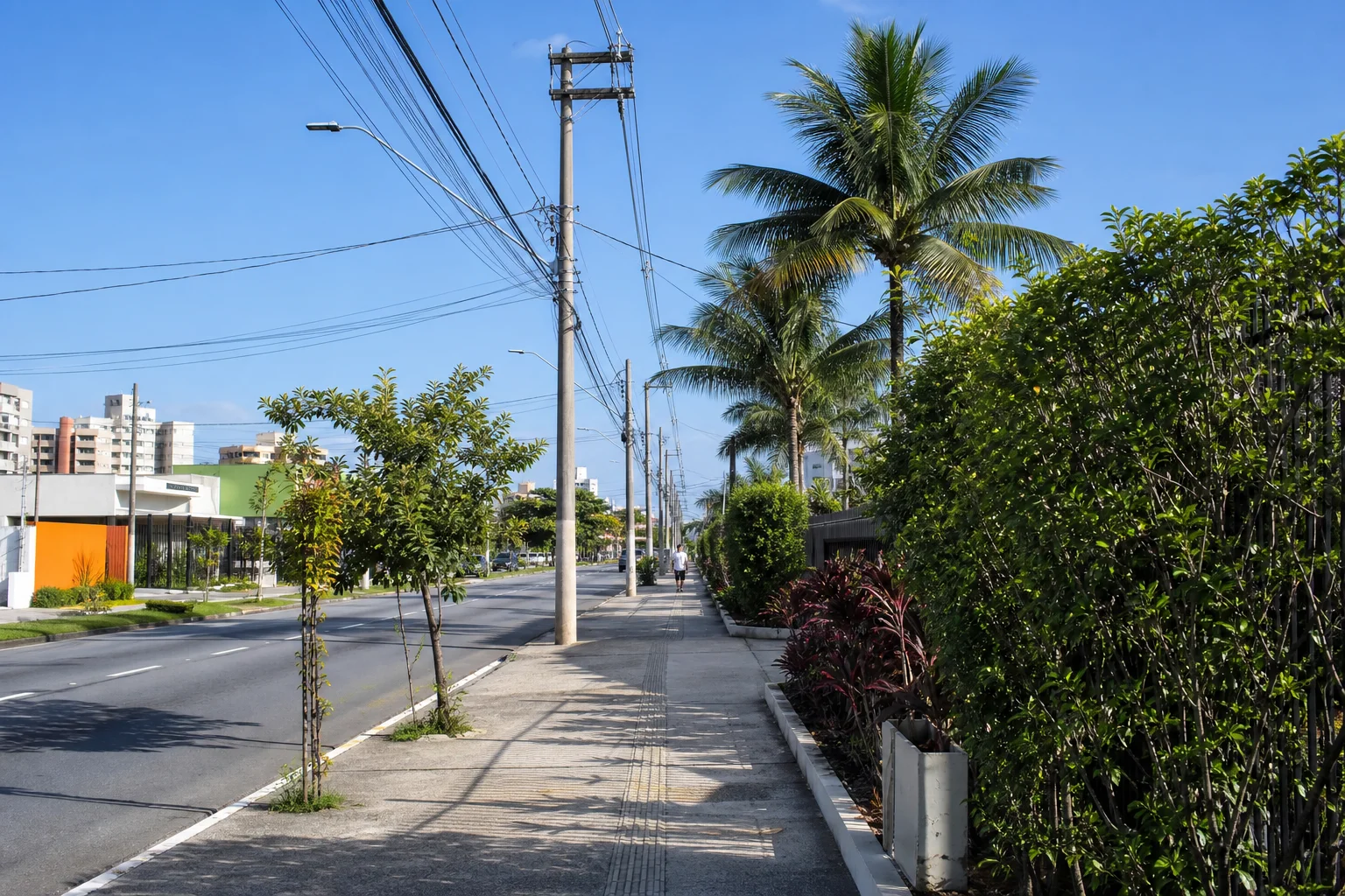 Vista de rua com fiação urbana bem organizada em disposição paralela ao longo dos postes, céu limpo ao fundo.