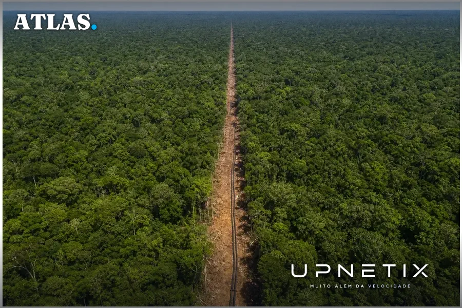 Vista aérea realista da floresta amazônica com destaque para trecho de cabo de fibra óptica em área remota